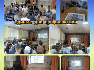 ЕДИНЫЕ ДНИ ПРОФИЛАКТИКИ 