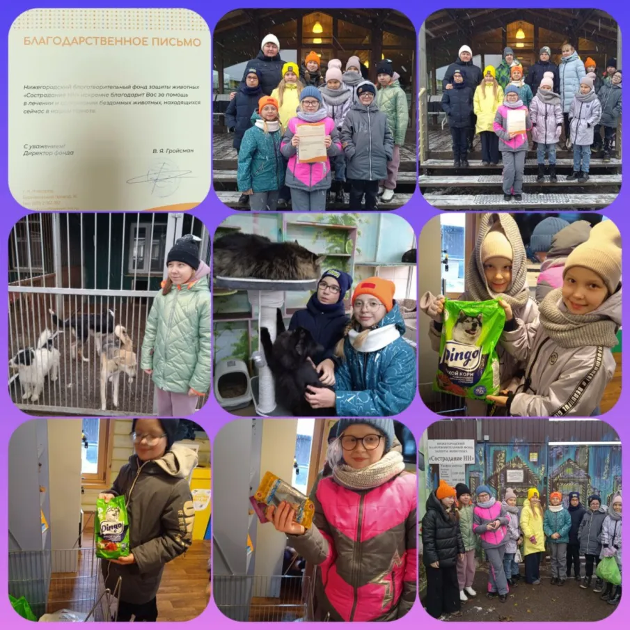 Добрые каникулы