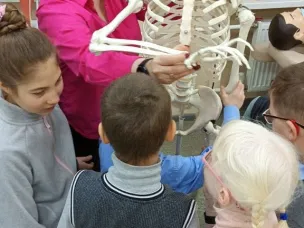 ЖИВЫЕ УРОКИ